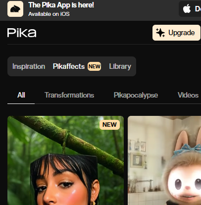 Pika Labs